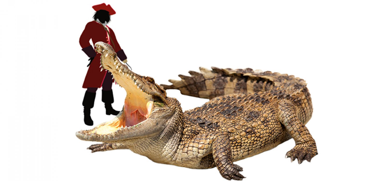 Never Smile at a Crocodile – The Group Risk Story Never Smile at a Crocodile – The Group Risk Story