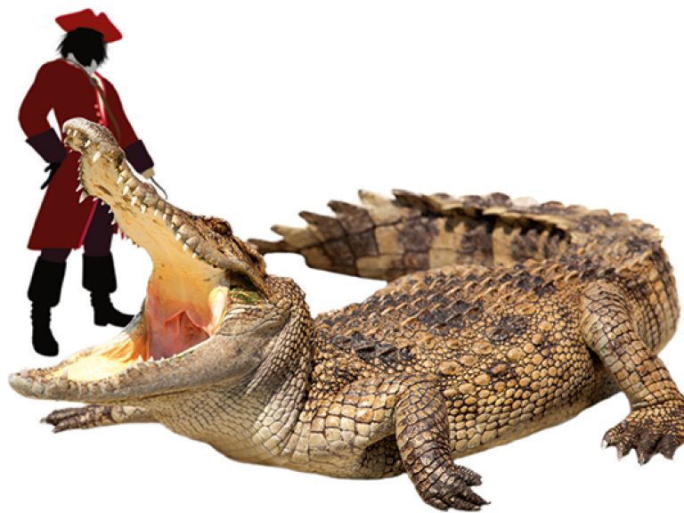 Thumbnail for Never Smile at a Crocodile – The Group Risk Story