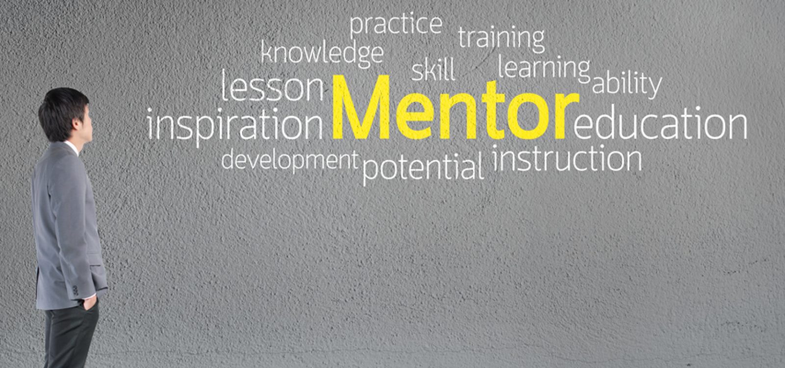 Mentor Skills – a Practical Example