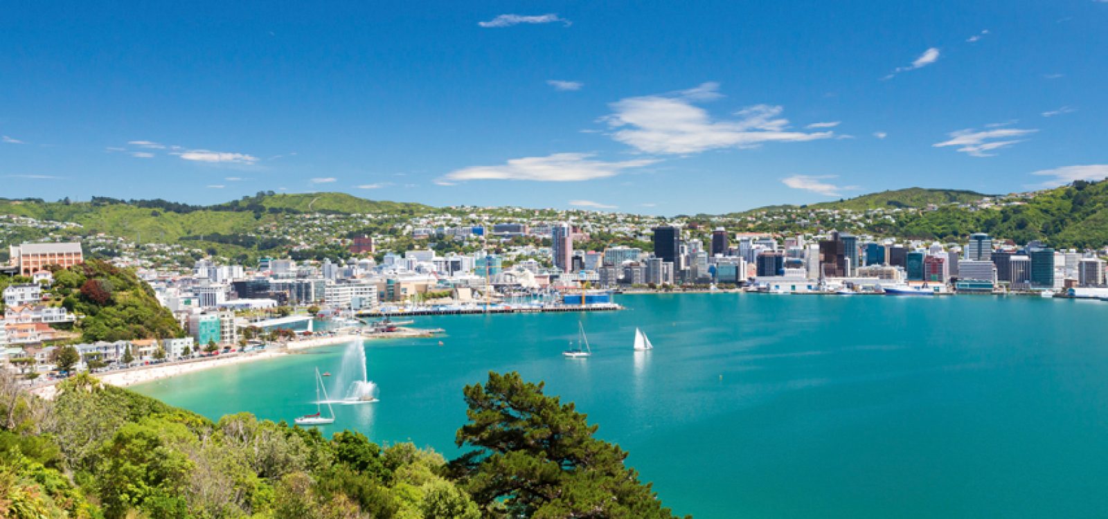 Australasia CPD Tour – the New Zealand leg Australasia CPD Tour – the New Zealand leg