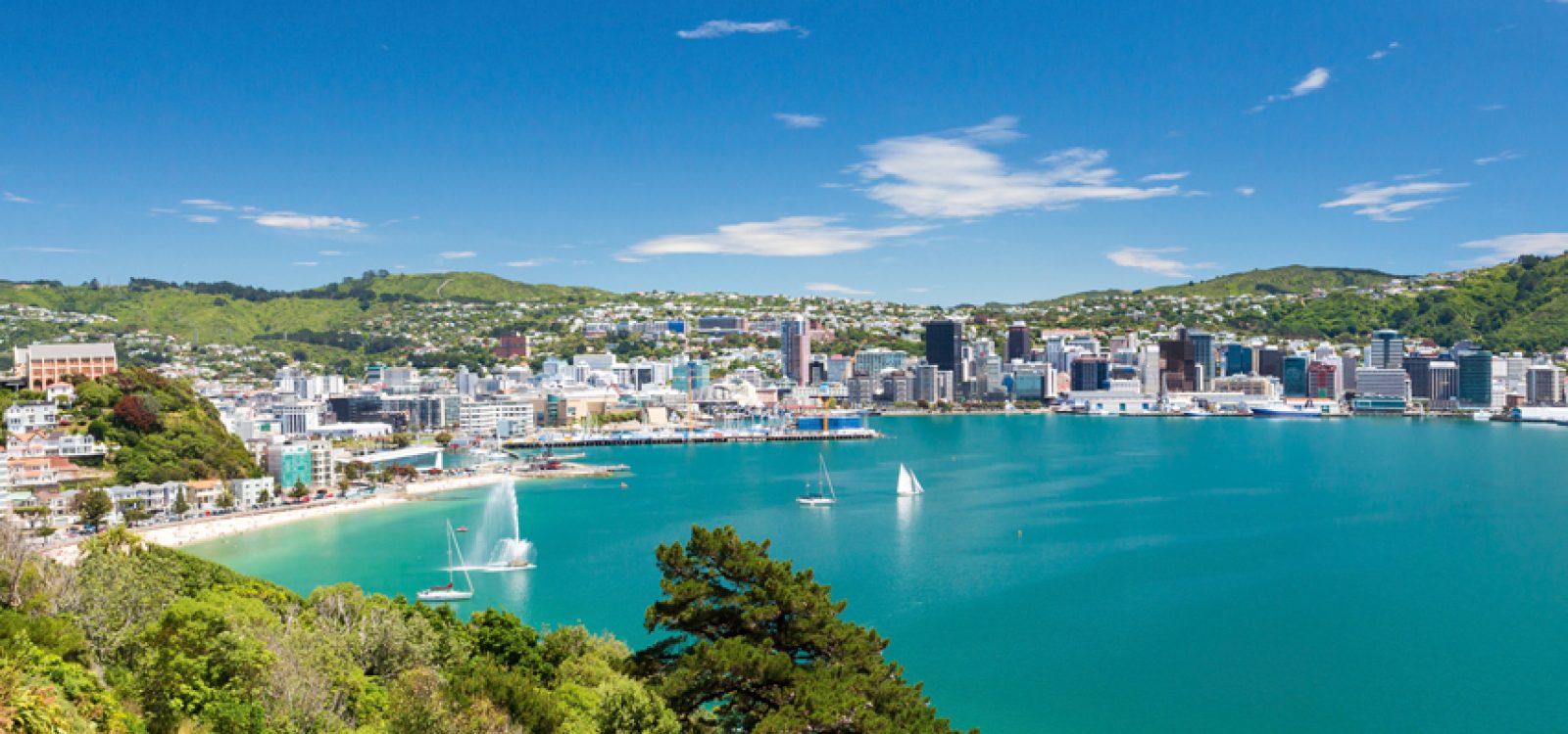 Australasia CPD Tour – the New Zealand leg