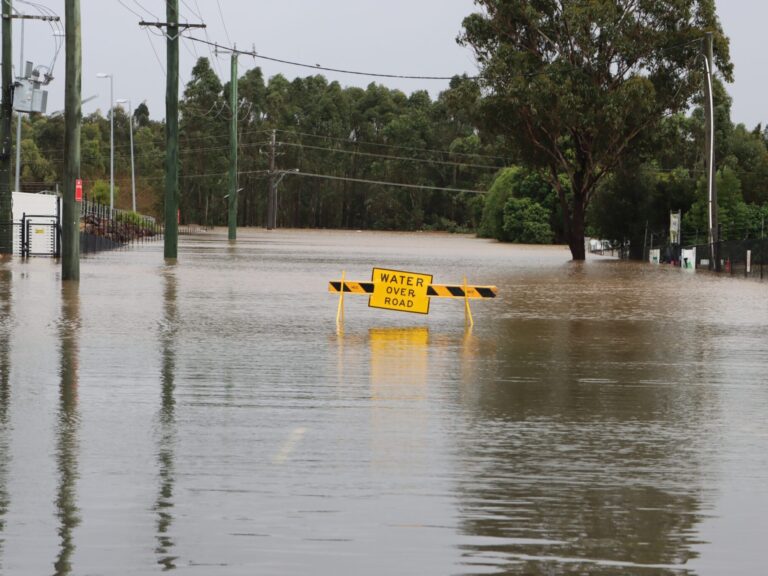 Thumbnail for Australian Roundtable Wins International Recognition for Disaster Recovery