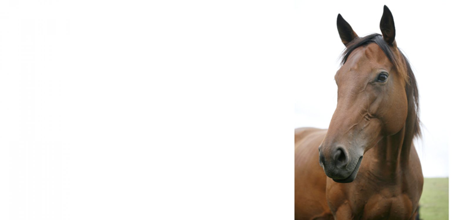 Why is Studying Mathematics on the Nose? Why is Studying Mathematics on the Nose?
