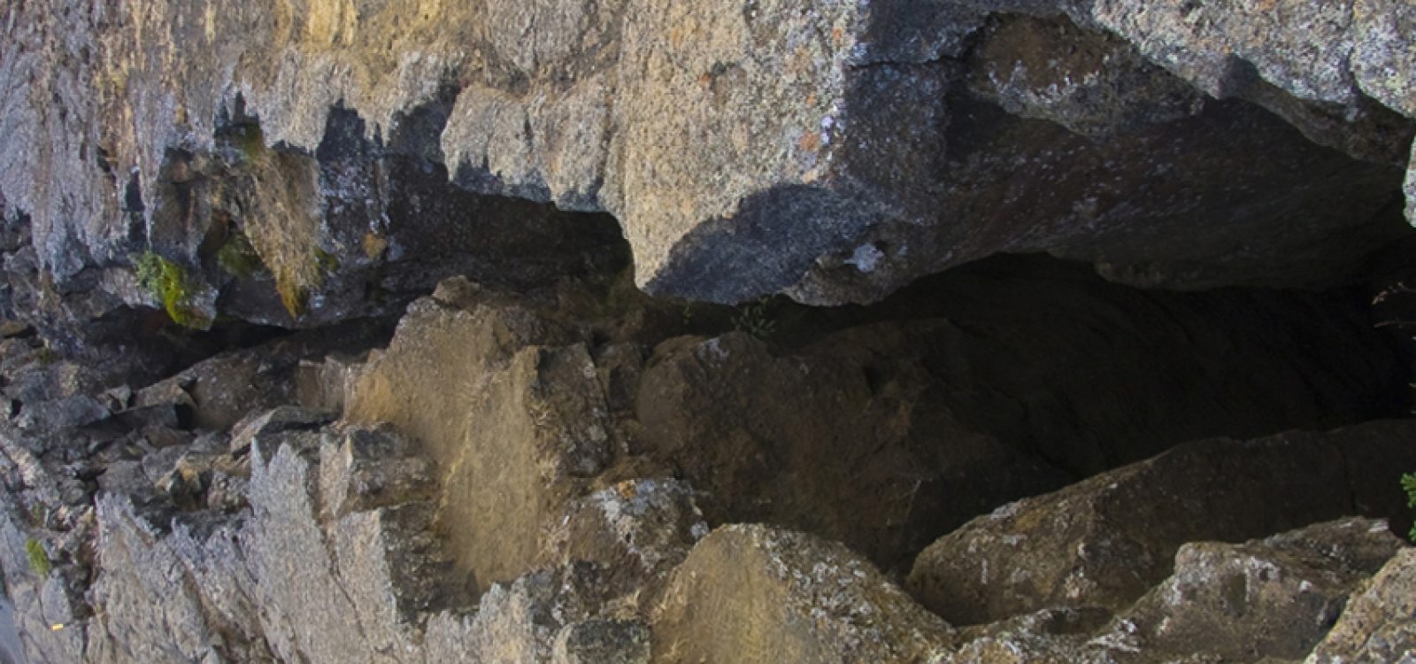 Scientists uncover evidence of large earthquakes under central NZ Scientists uncover evidence of large earthquakes under central NZ