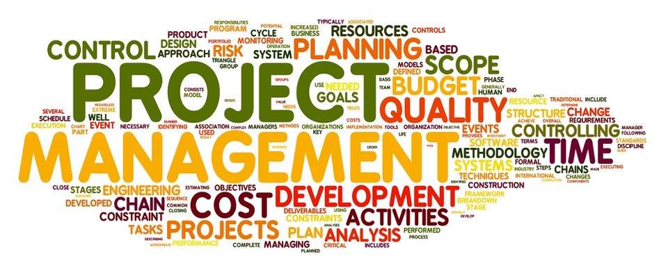 Image result for project management