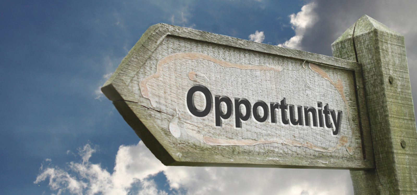 Future of Financial Advice Models – how insurers can help advisers Future of Financial Advice Models – how insurers can help advisers