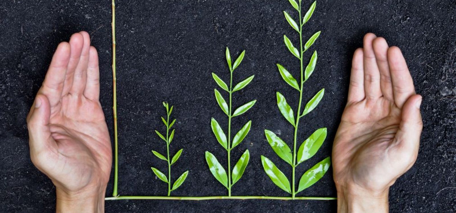 Sustainability implications for actuarial science Sustainability implications for actuarial science