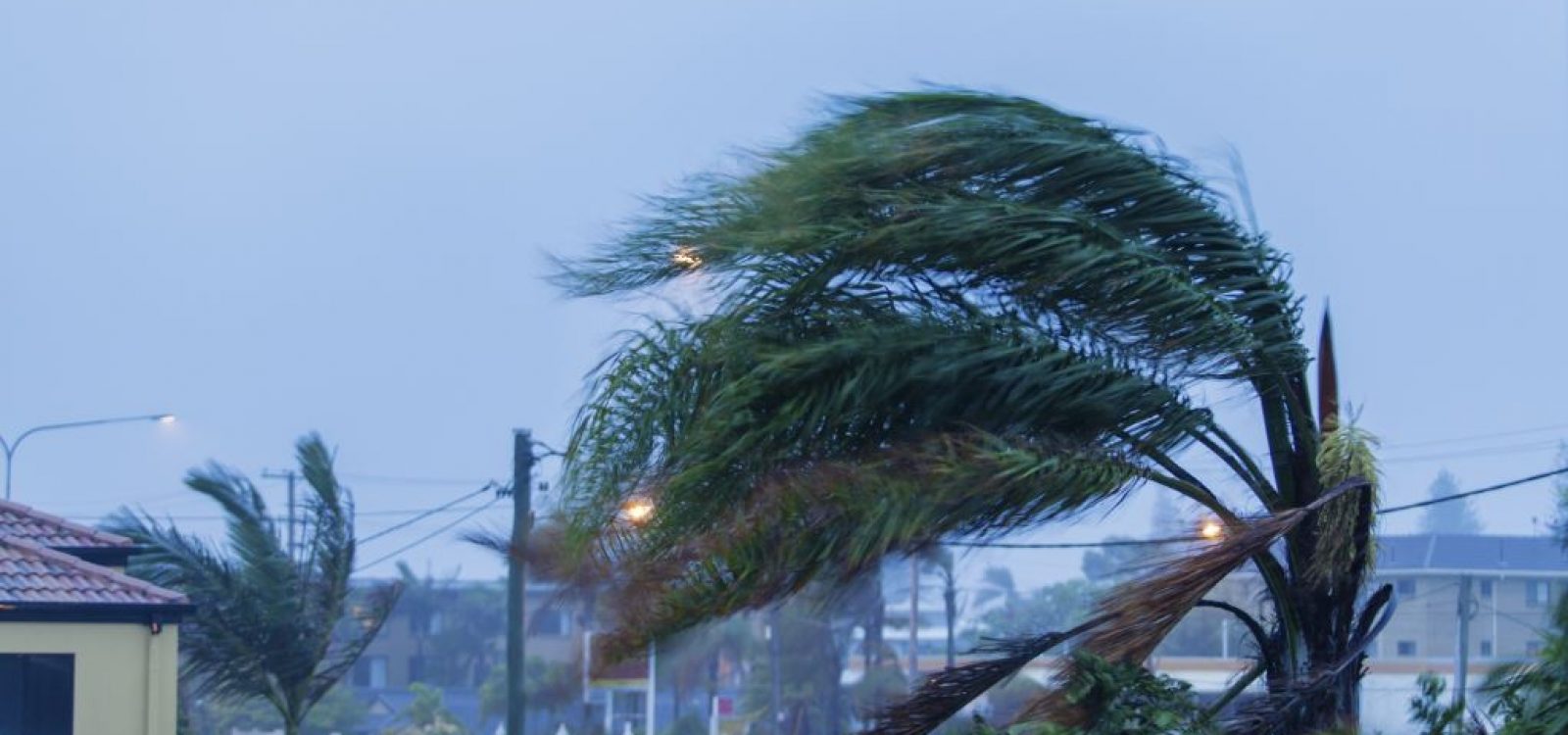 What costs more: a windstorm or a market crash?