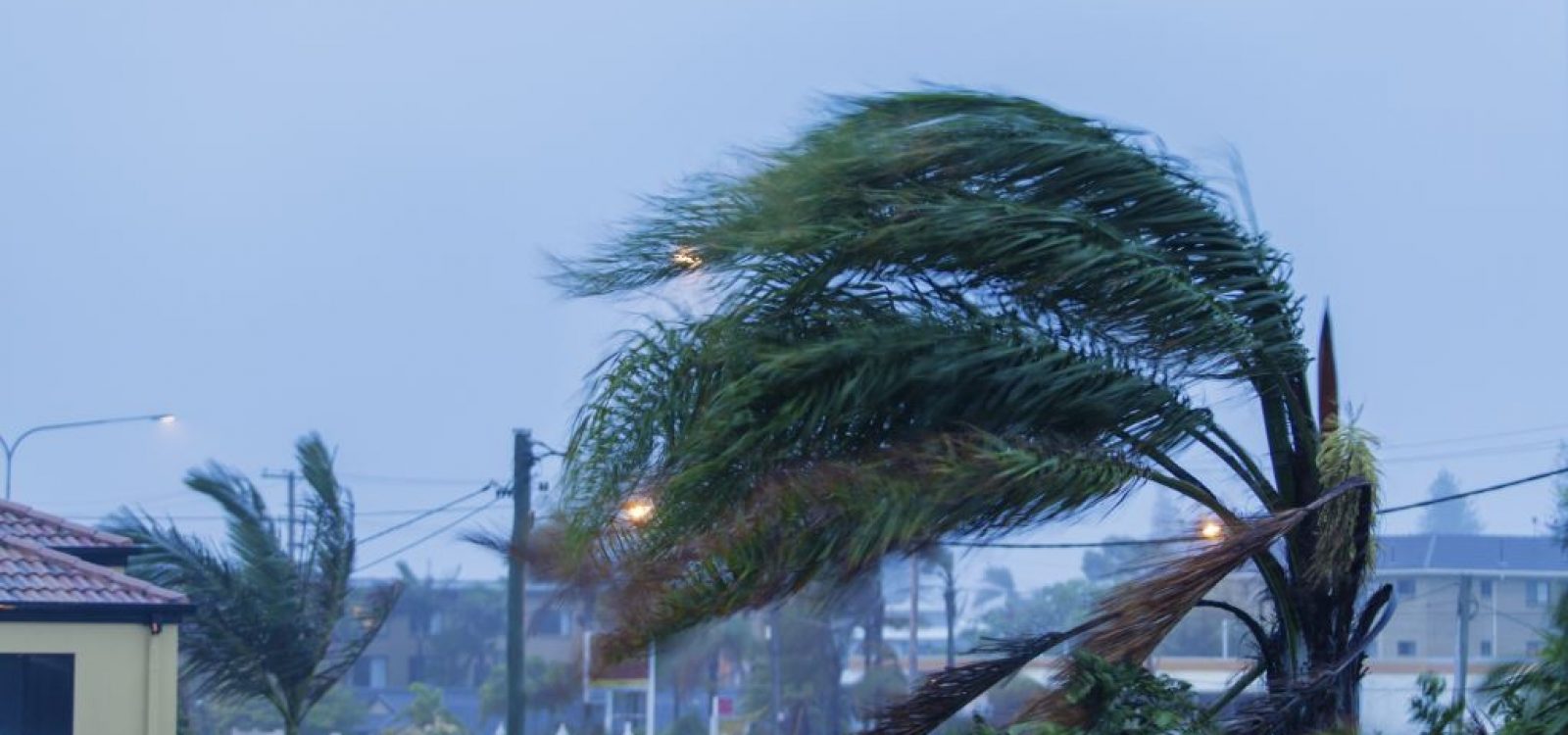 What costs more: a windstorm or a market crash? What costs more: a windstorm or a market crash?