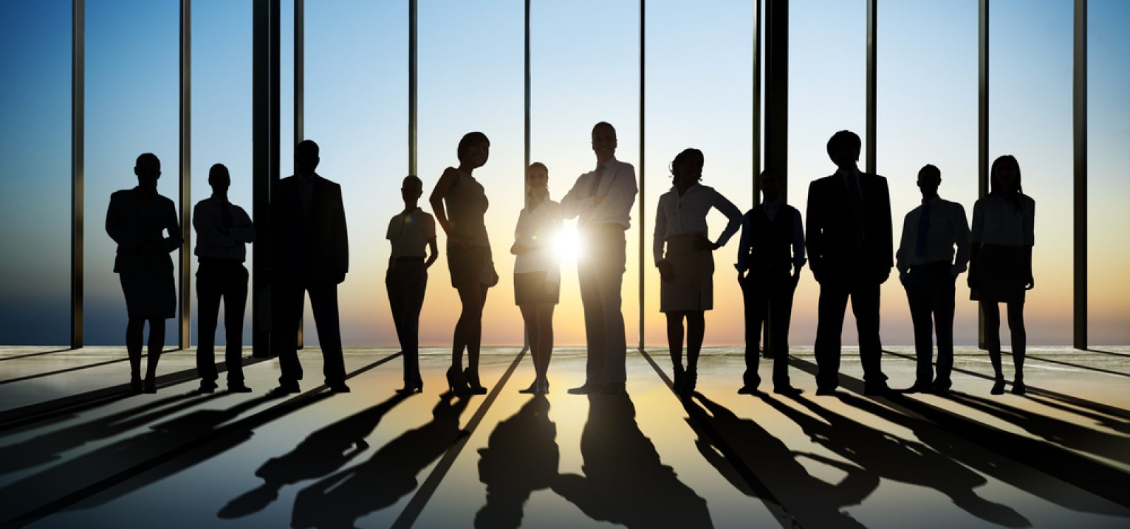 Appointed or C-Suite? Appointed or C-Suite?
