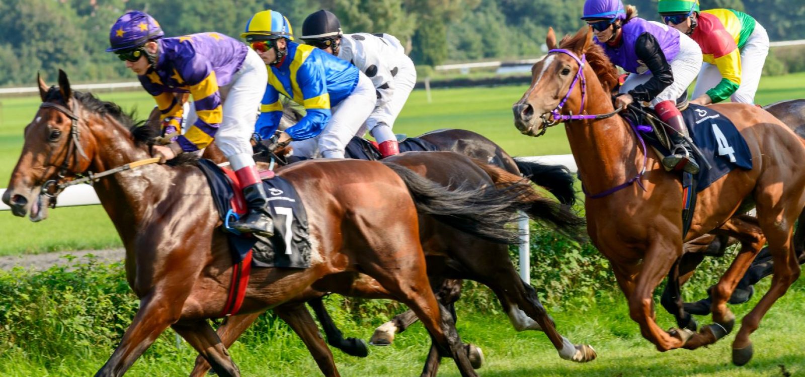 Melbourne Cup 2016 – Your definitive actuarial guide Melbourne Cup 2016 – Your definitive actuarial guide