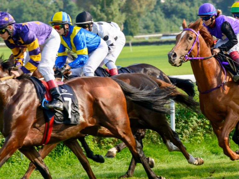 Thumbnail for Melbourne Cup 2016 – Your definitive actuarial guide