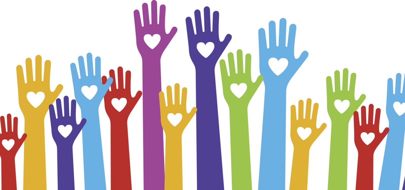 My top tip for those new in their careers, volunteer! My top tip for those new in their careers, volunteer!