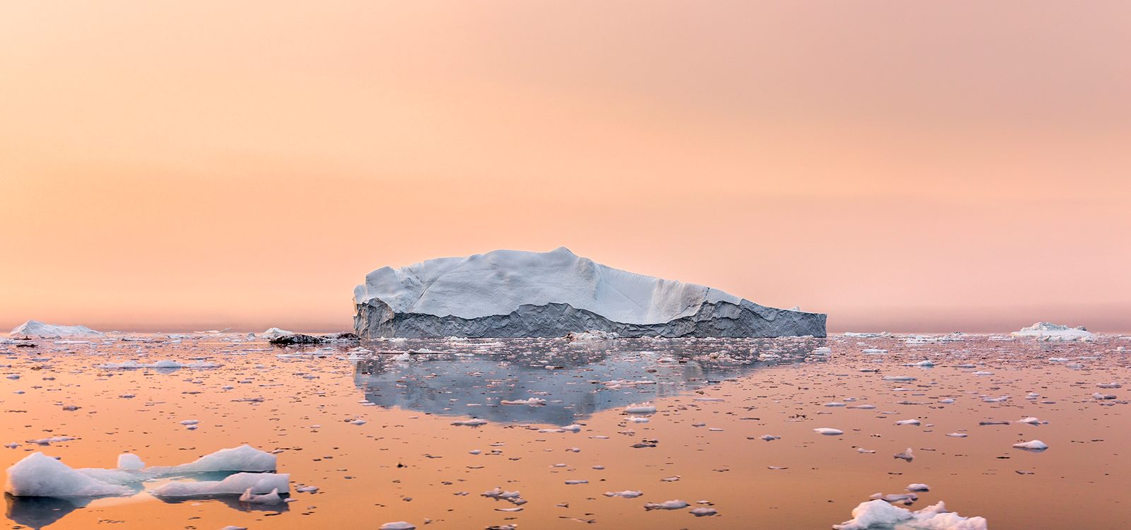 The big climate change gamble: What are the odds? The big climate change gamble: What are the odds?