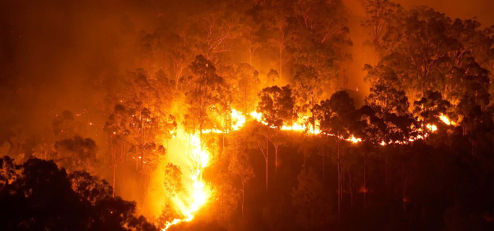 Insuring the inferno: addressing bushfire risk in a changing climate