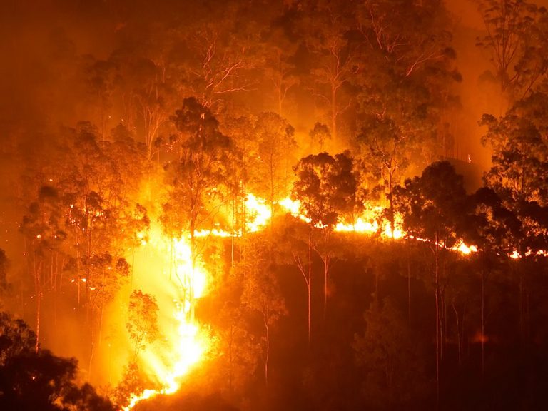 Thumbnail for Insuring the inferno: addressing bushfire risk in a changing climate