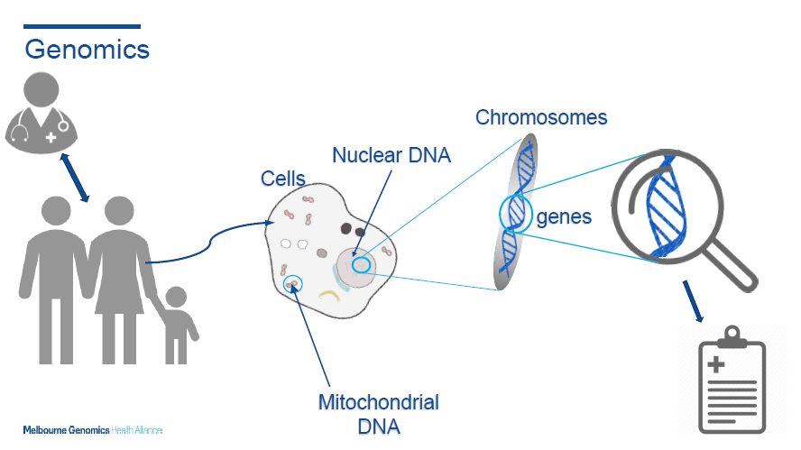 Genomics from patient and clinician to understanding DNA