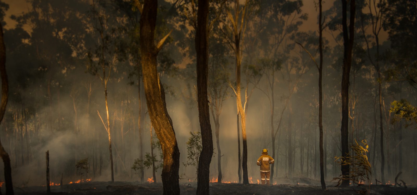 Impact of bushfires on the life insurance industry Impact of bushfires on the life insurance industry