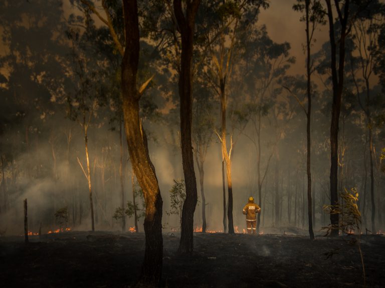 Thumbnail for Impact of bushfires on the life insurance industry