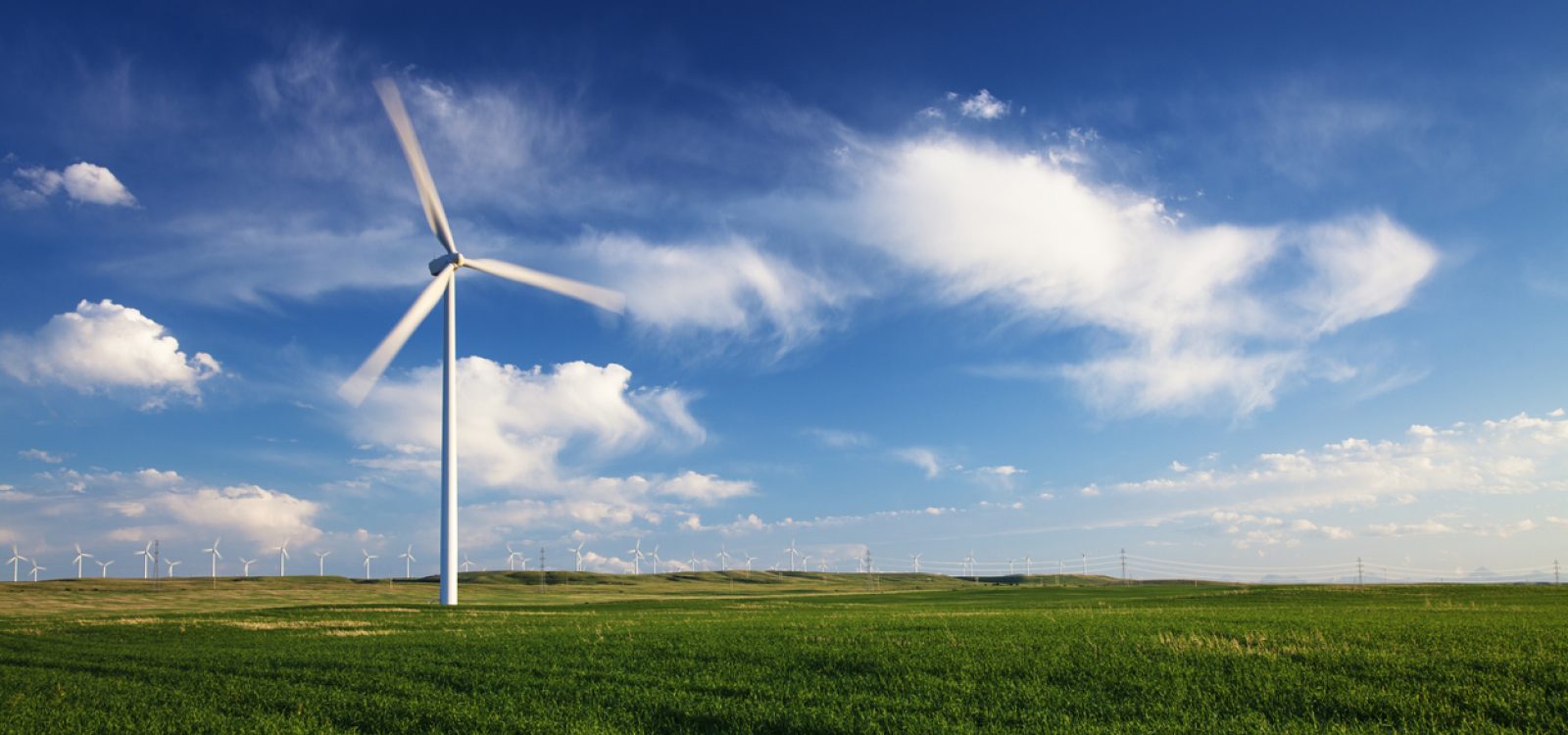 Net-zero Emissions: What are Governments and Companies Doing? Net-zero Emissions: What are Governments and Companies Doing?