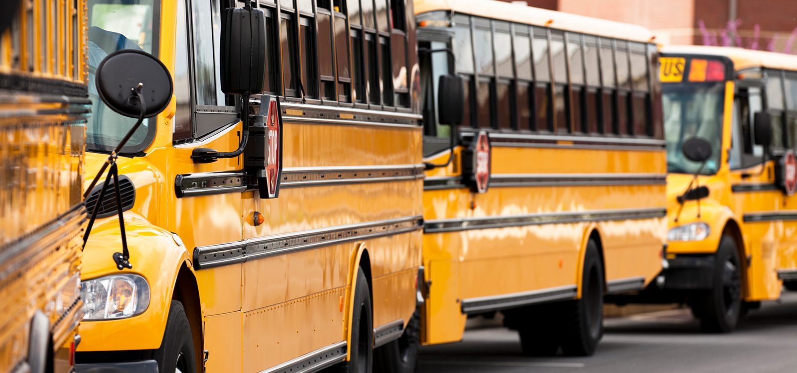 Why do buses come in threes?