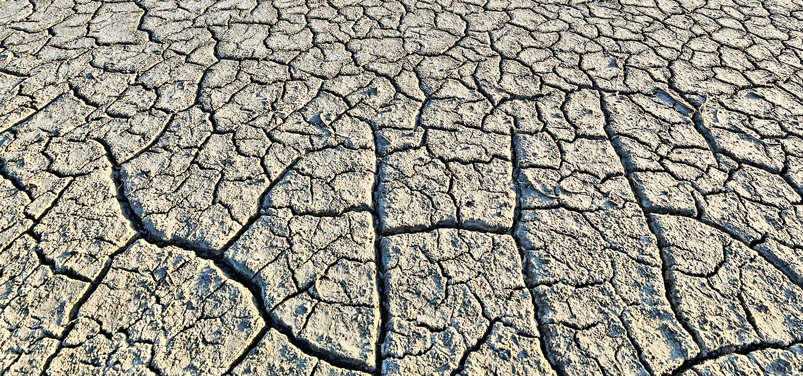 Climate Change Scenario Analysis Climate Change Scenario Analysis