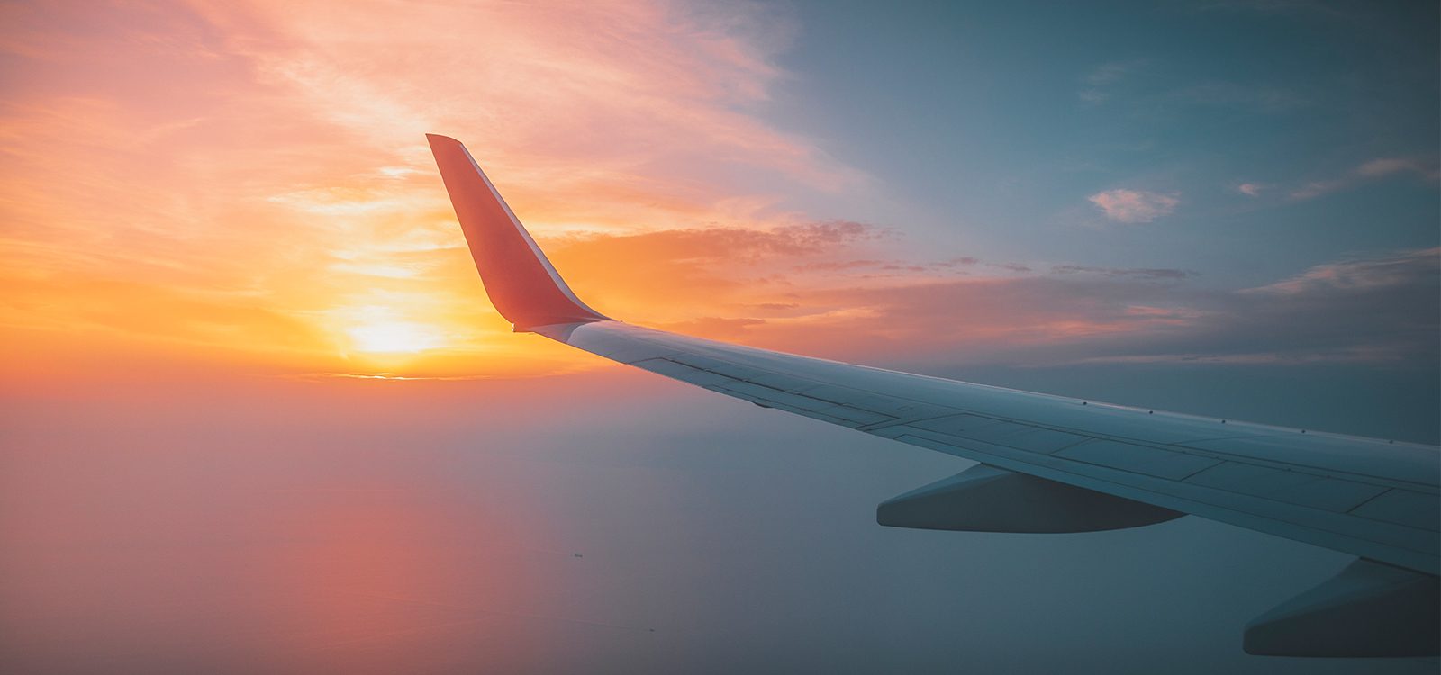 Travel Insurance – Fight or Flight Travel Insurance – Fight or Flight