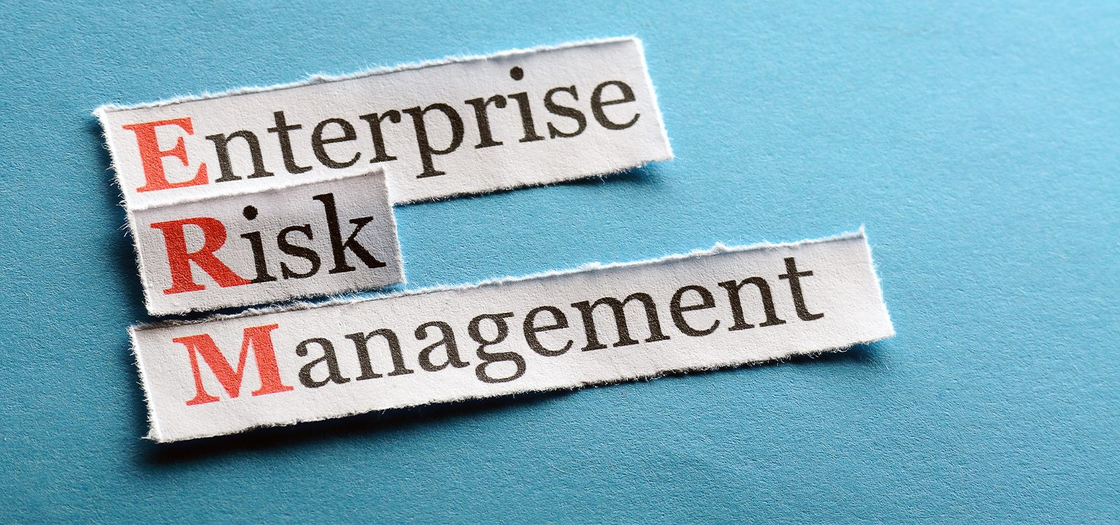 A global perspective on Enterprise Risk Management A global perspective on Enterprise Risk Management