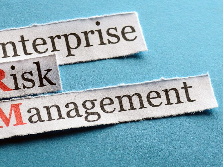 Thumbnail for A global perspective on Enterprise Risk Management