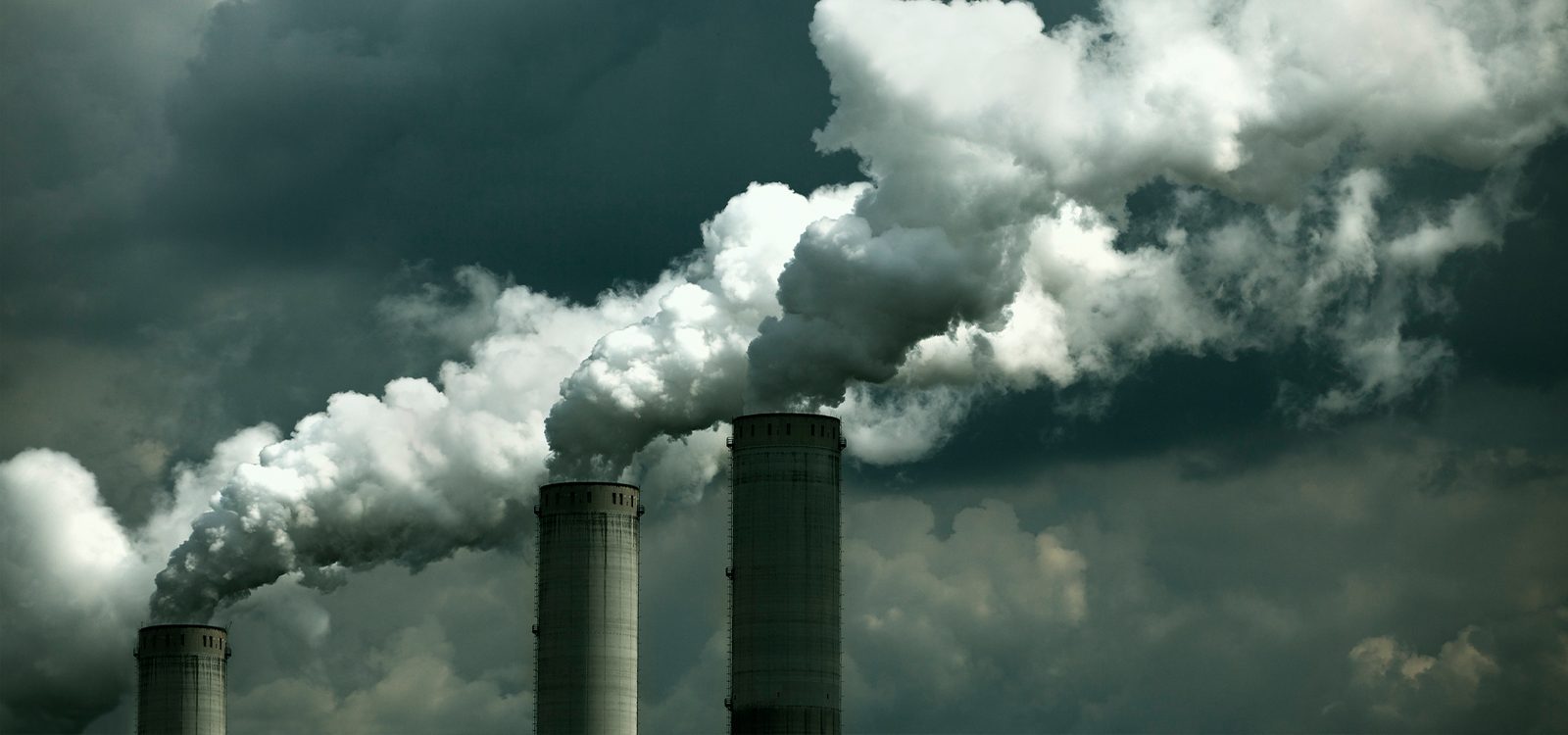 Wilful Blindness: How to debias perceptions and address climate risk now Wilful Blindness: How to debias perceptions and address climate risk now