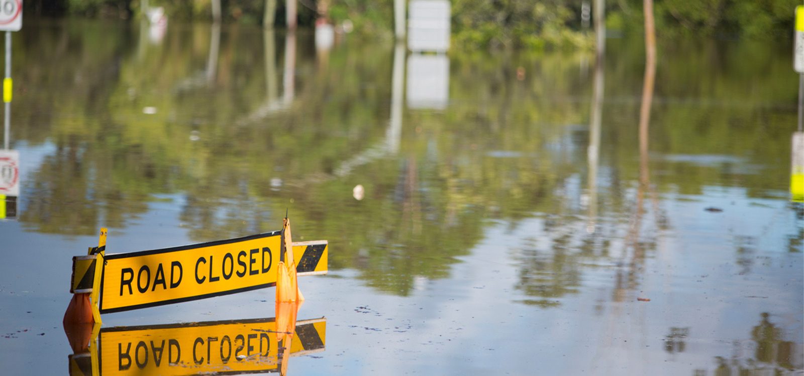 The role of insurance in enhancing societal resilience to flood risk The role of insurance in enhancing societal resilience to flood risk
