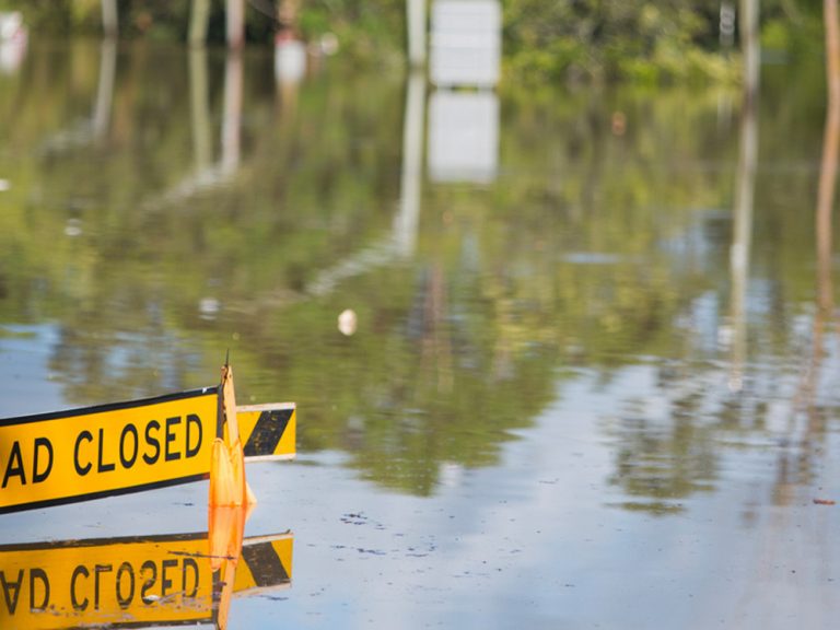 Thumbnail for The role of insurance in enhancing societal resilience to flood risk