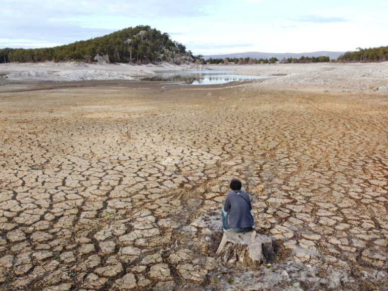 Thumbnail for Making sense of physical climate risk assessments