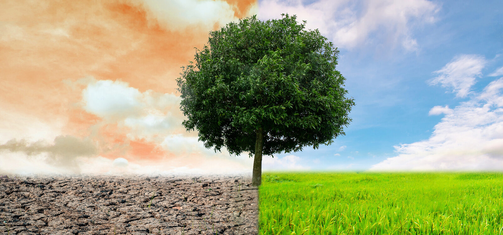 International Actuarial Association releases third paper in climate risk series