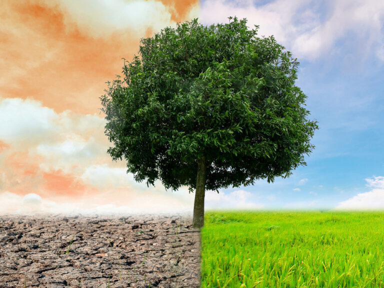 Thumbnail for International Actuarial Association releases third paper in climate risk series