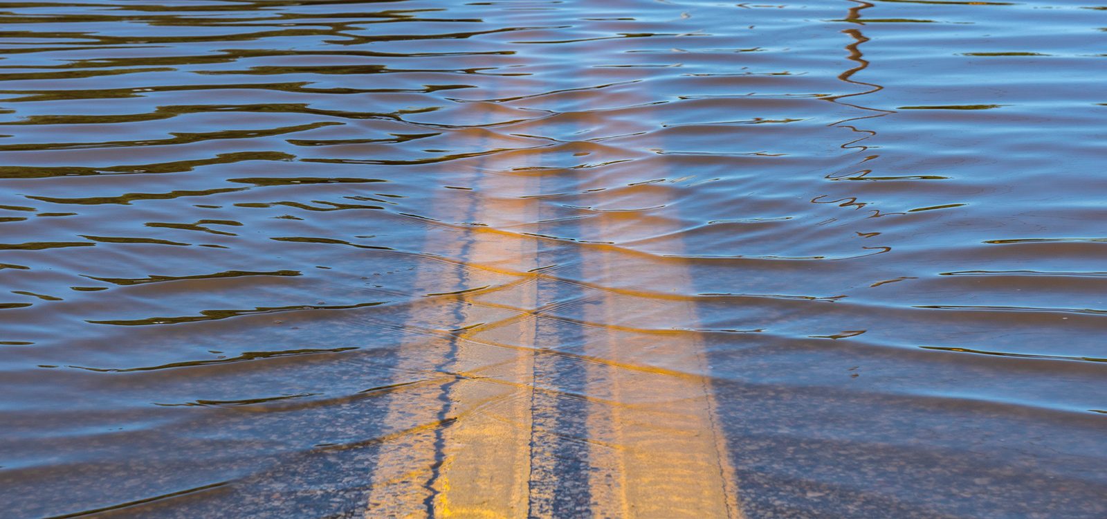 Climate risk disclosures: The scientists are talking. Are we listening and how should we respond? Climate risk disclosures: The scientists are talking. Are we listening and how should we respond?