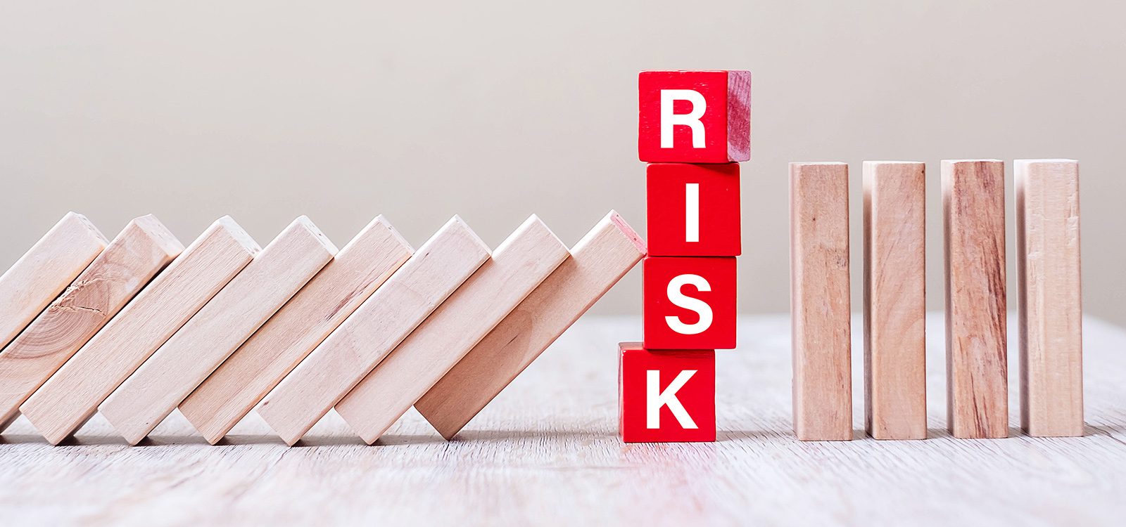 Introducing Enterprise Risk Management