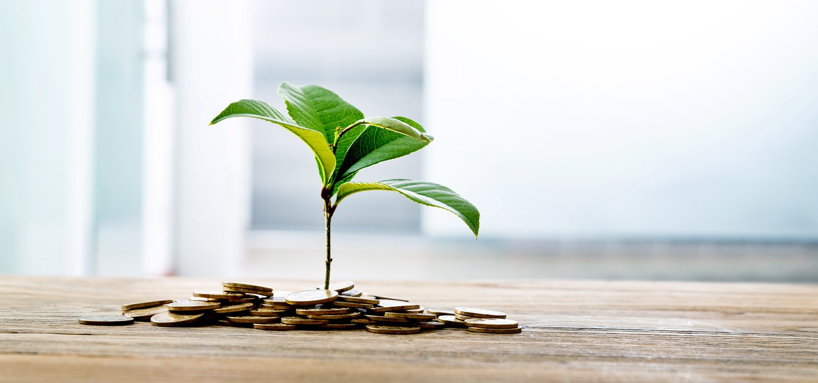That’s Super: Product and innovation in superannuation That’s Super: Product and innovation in superannuation