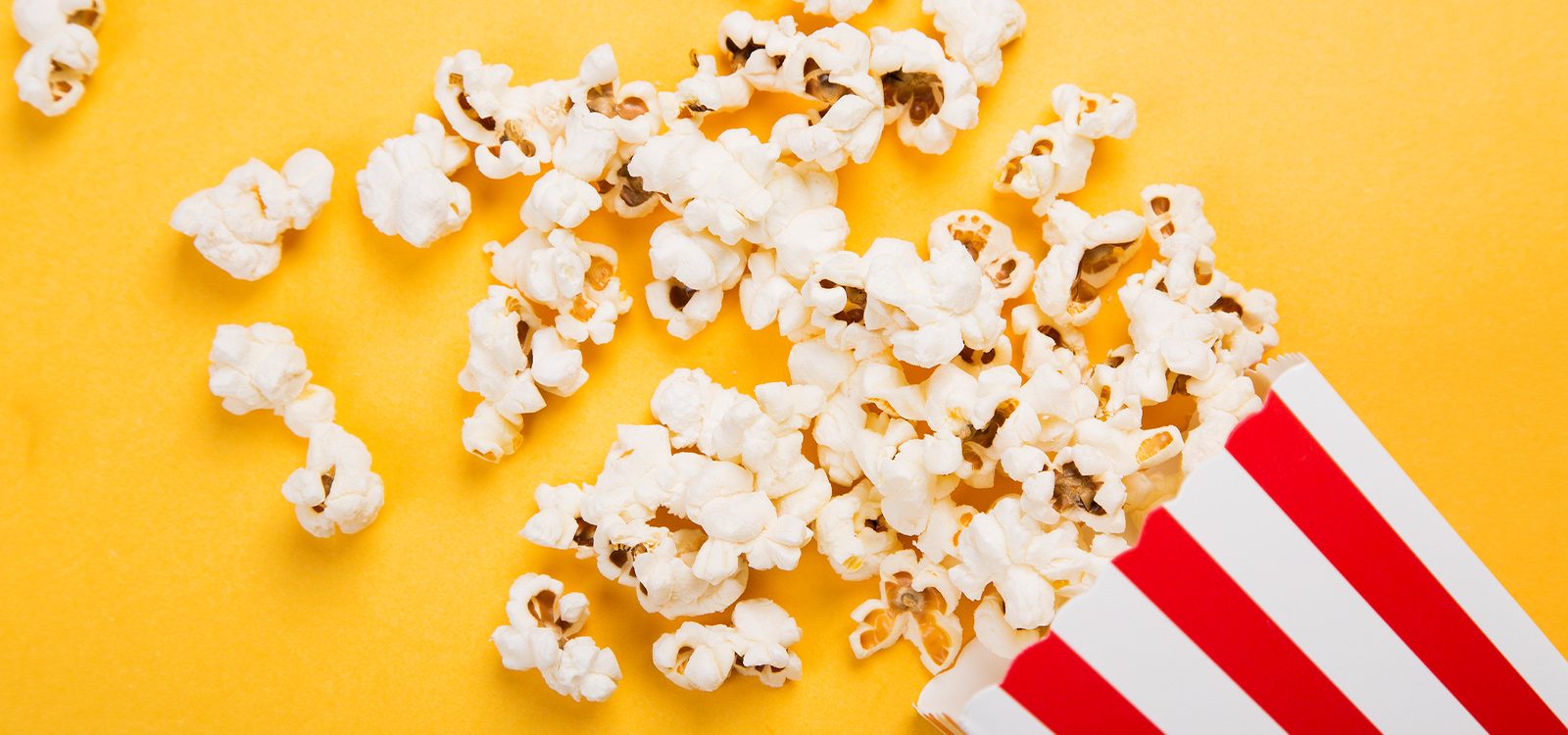 ‘YDAWG Analytica’ go to the movies ‘YDAWG Analytica’ go to the movies