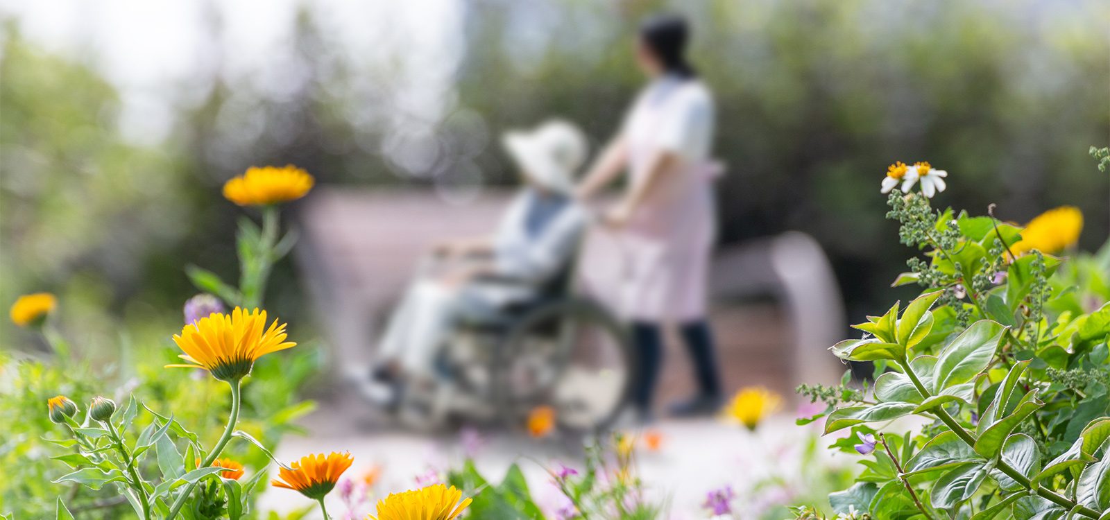 Assessing sustainable aged care financing in Australia