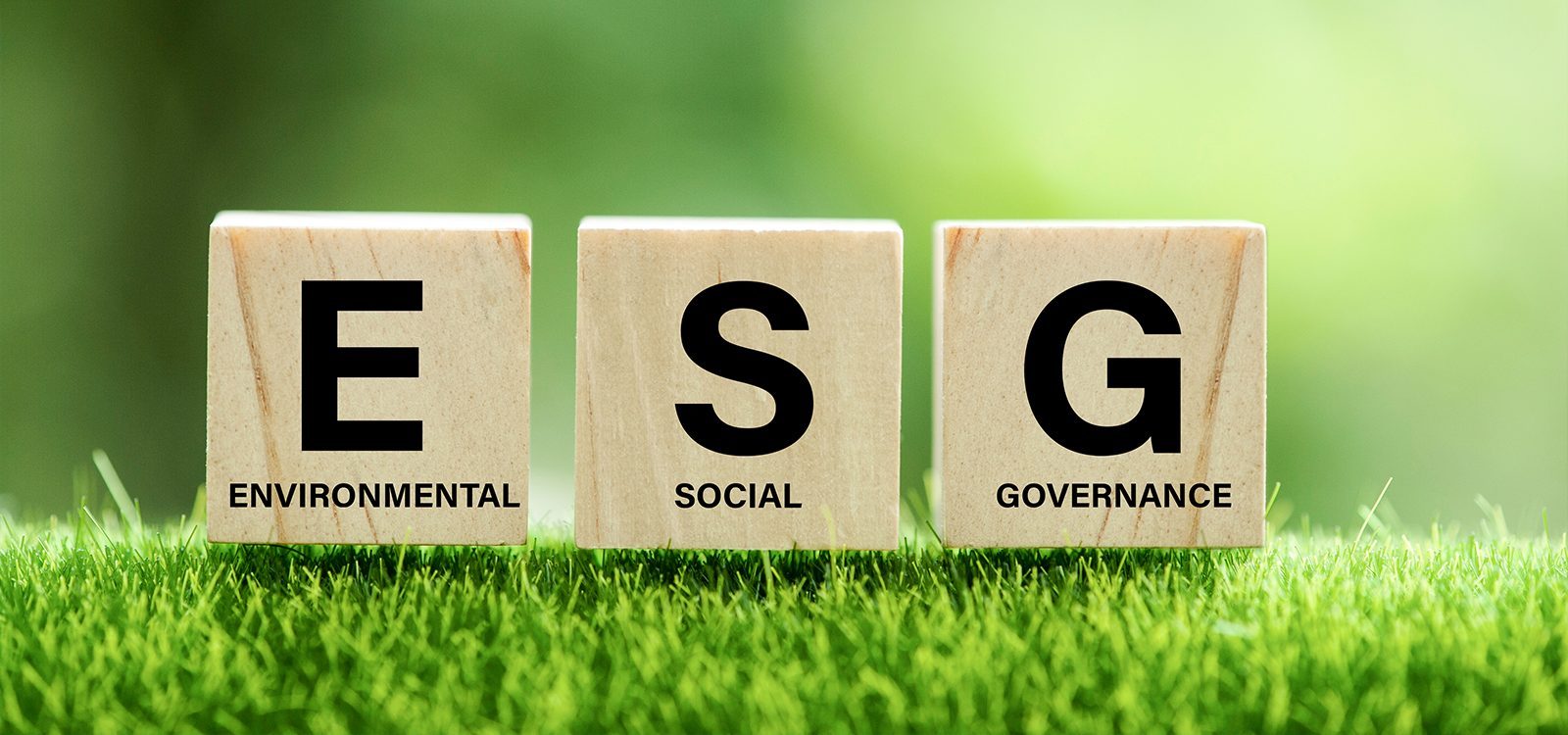 What is ESG and is it relevant for life insurance? What is ESG and is it relevant for life insurance?