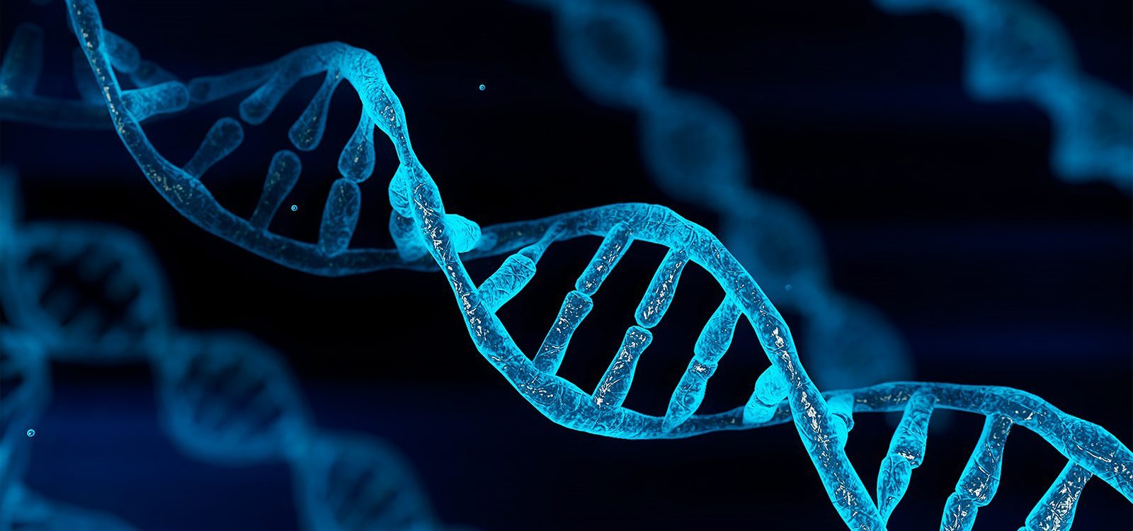 Polygenic risk scores and what it means for the genetic testing moratorium Polygenic risk scores and what it means for the genetic testing moratorium