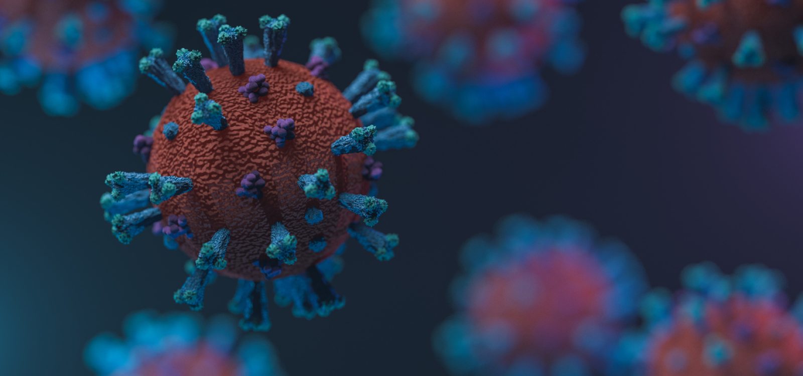COVID-19 Mortality Working Group: Lower excess mortality in September and October 2022 COVID-19 Mortality Working Group: Lower excess mortality in September and October 2022