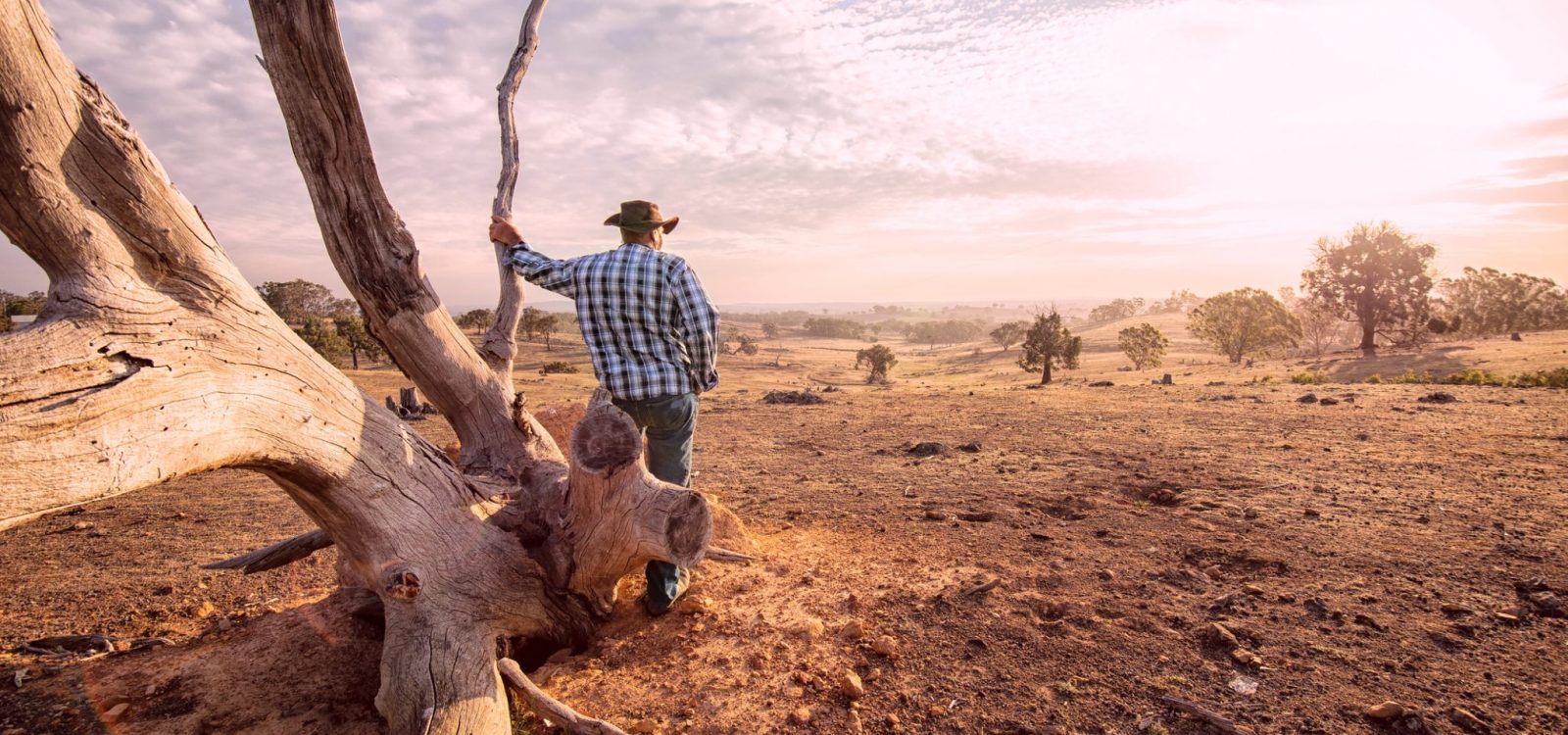 AACI hints at dangerous bushfire seasons in the summers ahead