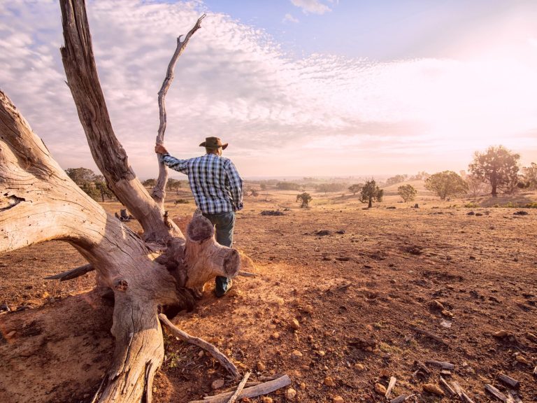 Thumbnail for AACI hints at dangerous bushfire seasons in the summers ahead