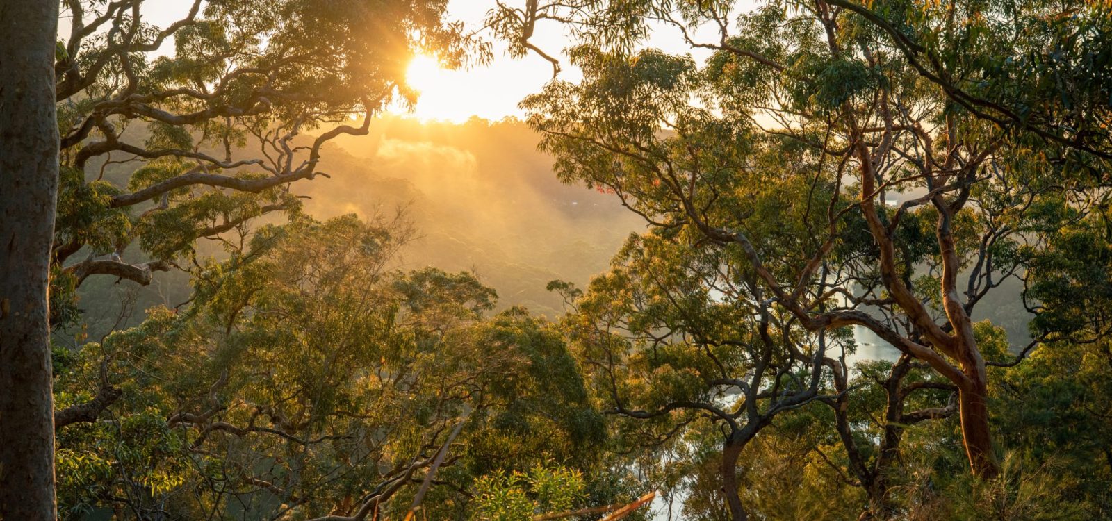 The Climate Change Adaptation Gap: An Actuarial Perspective The Climate Change Adaptation Gap: An Actuarial Perspective