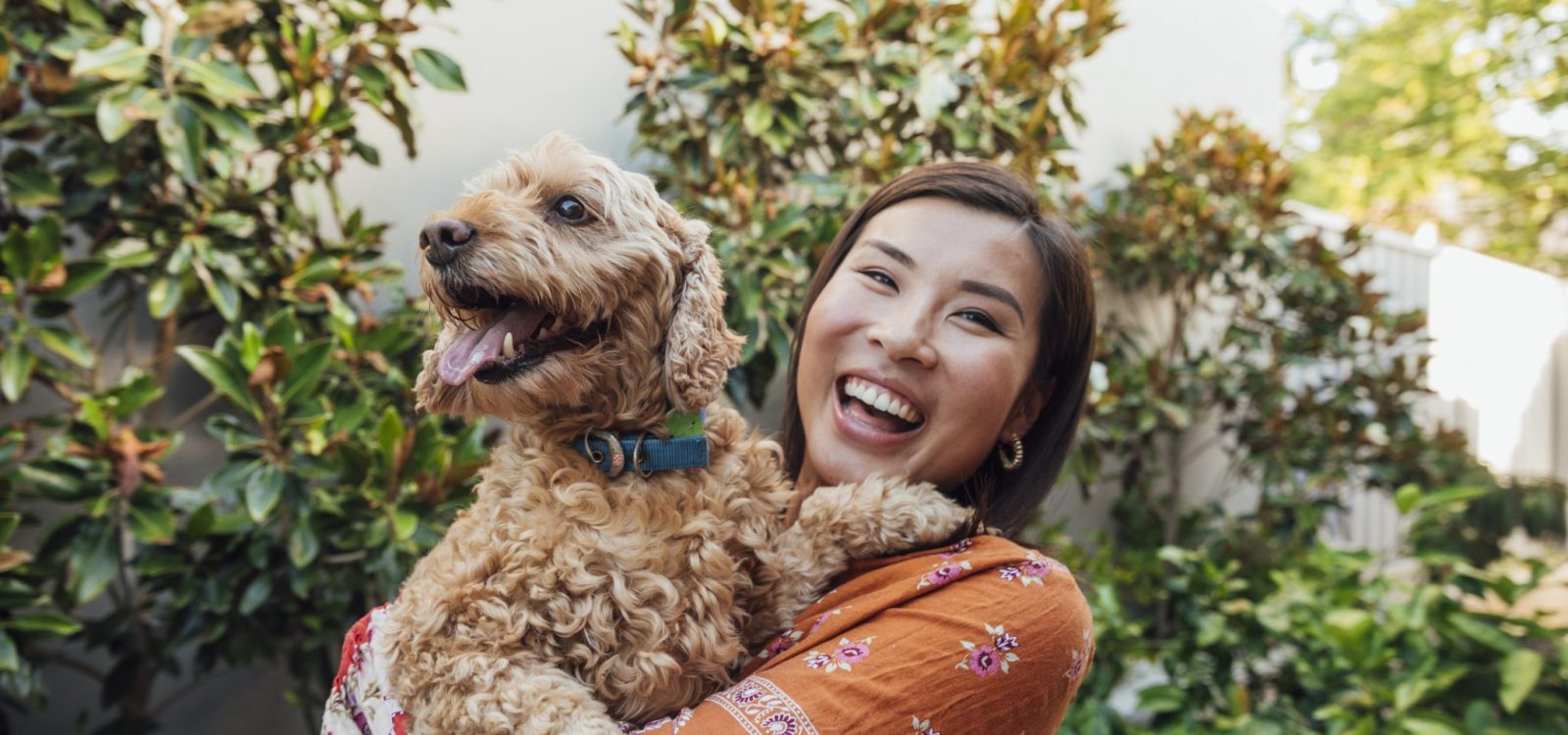 A Brief Discussion of Pet Insurance in Australia A Brief Discussion of Pet Insurance in Australia