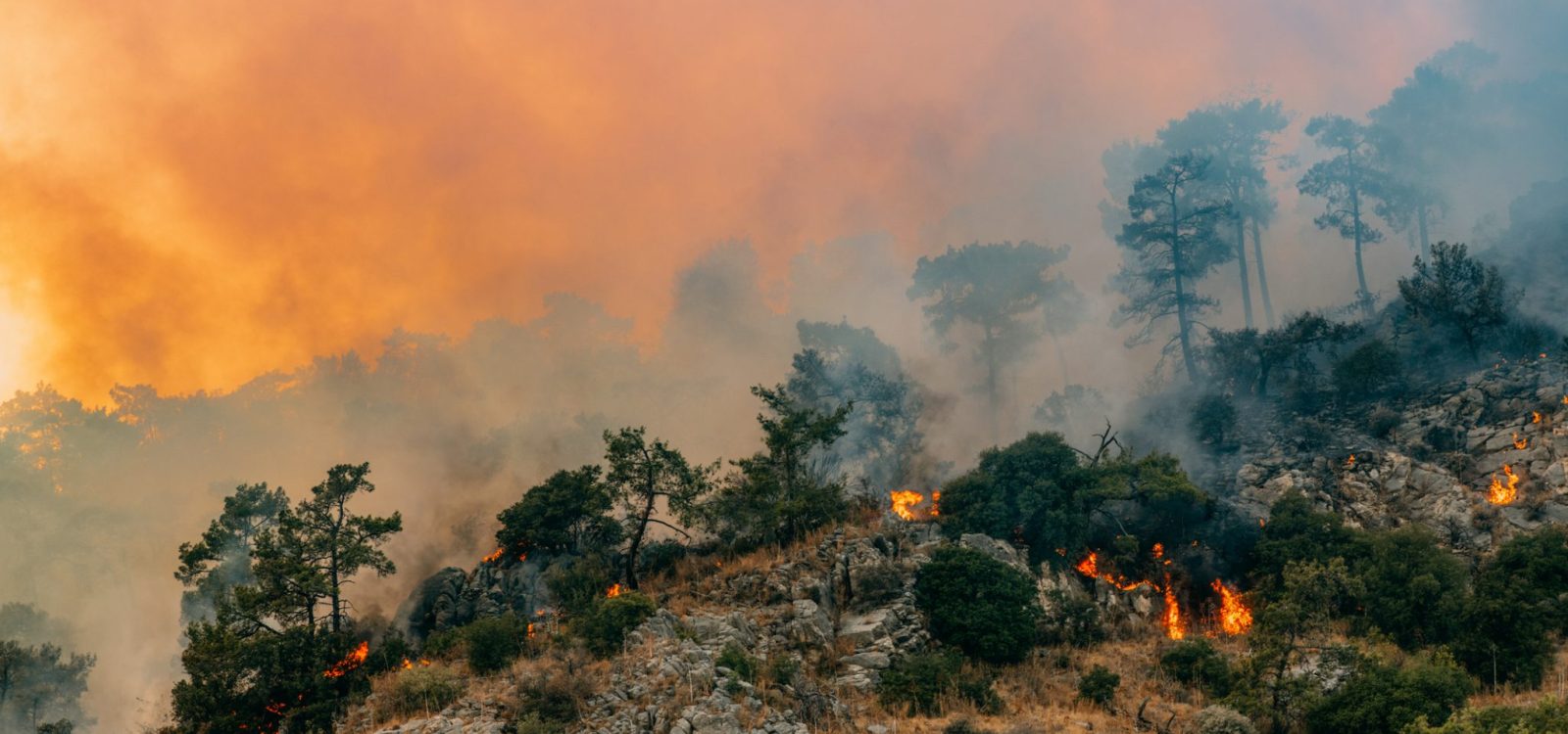 Climate Change Risk and Opportunity for the General Insurance Actuary Climate Change Risk and Opportunity for the General Insurance Actuary