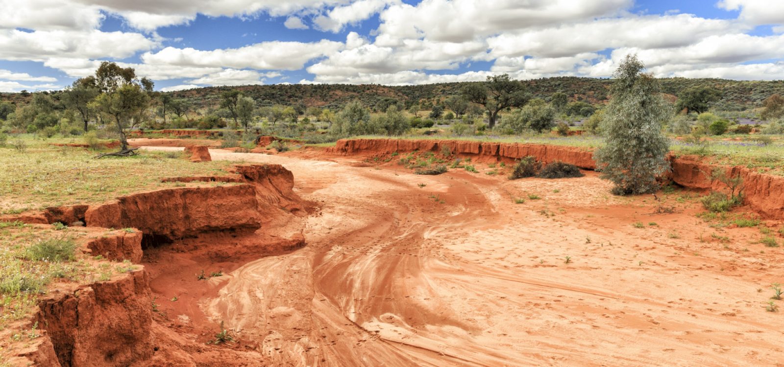 A Record-Breaking Winter and Signs of an Extreme Summer