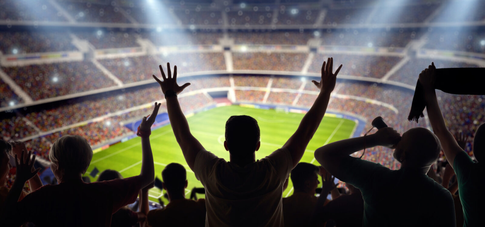 Football Fan Fact-Finding: The Economics of Sporting Success